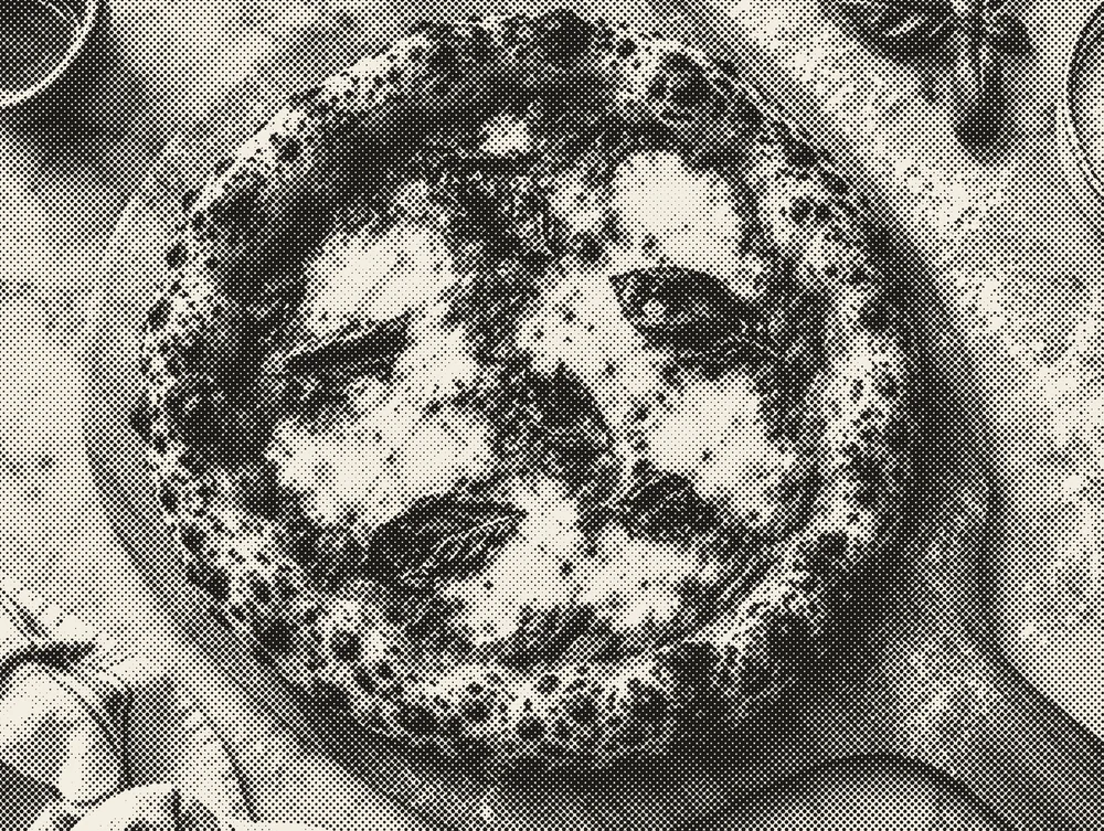 A margherita pizza
